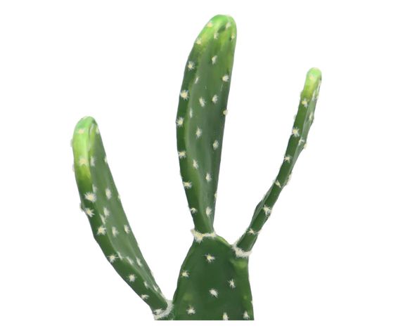 Cactus artificial maceta Atacama-1
