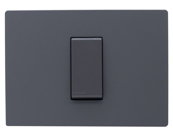 Interruptor conmutador 9/24 placa armada Línea S32 grey mate-0