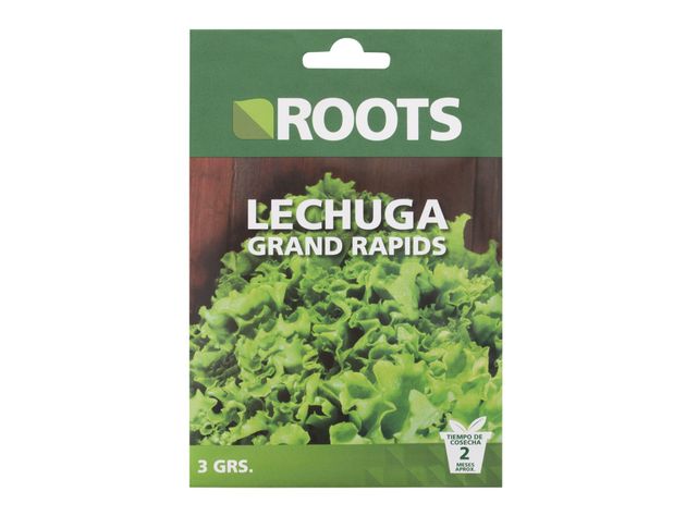 Semilla lechuga grand rapids Roots-0