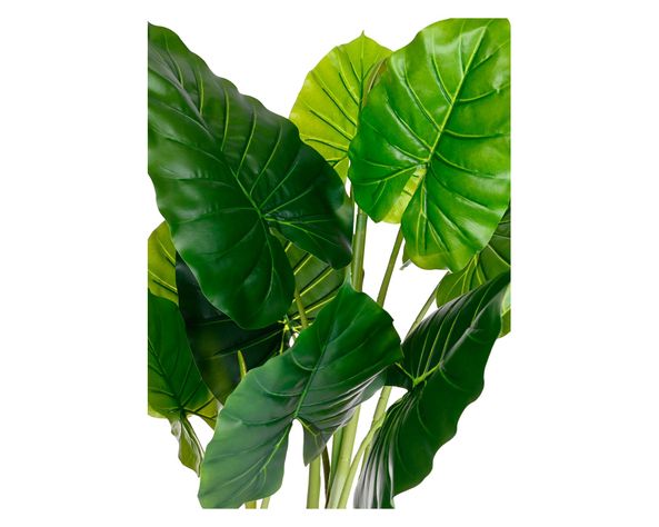 Planta artificial Colocasia Outzen-2