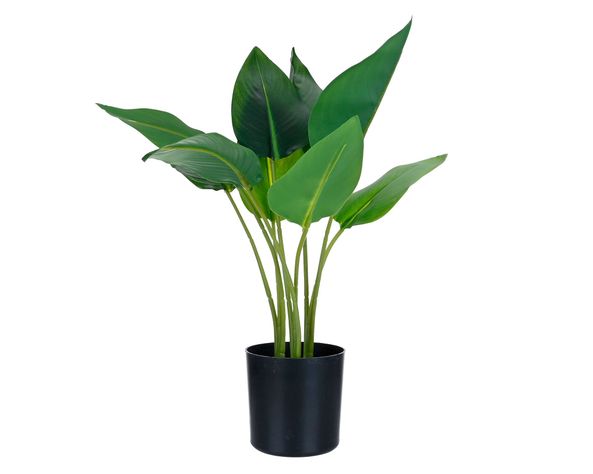 Planta artificial Strelitzia Outzen-0