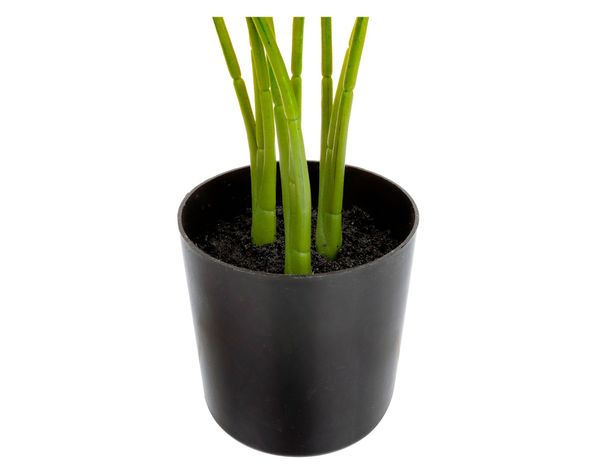 Planta artificial Strelitzia Outzen-1