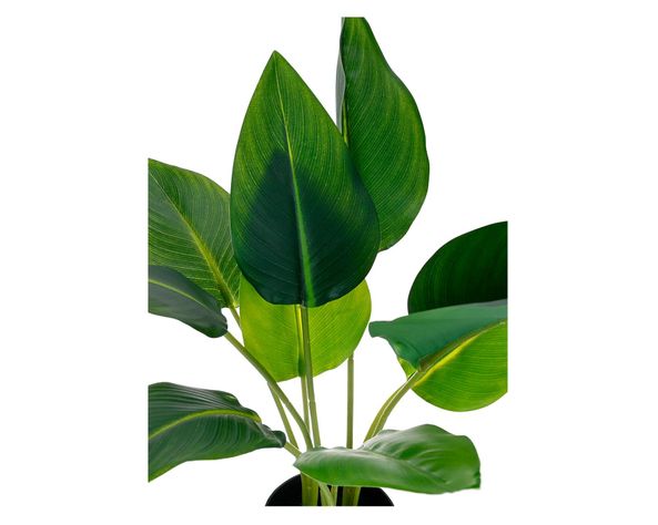 Planta artificial Strelitzia Outzen-2