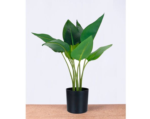 Planta artificial Strelitzia Outzen-3