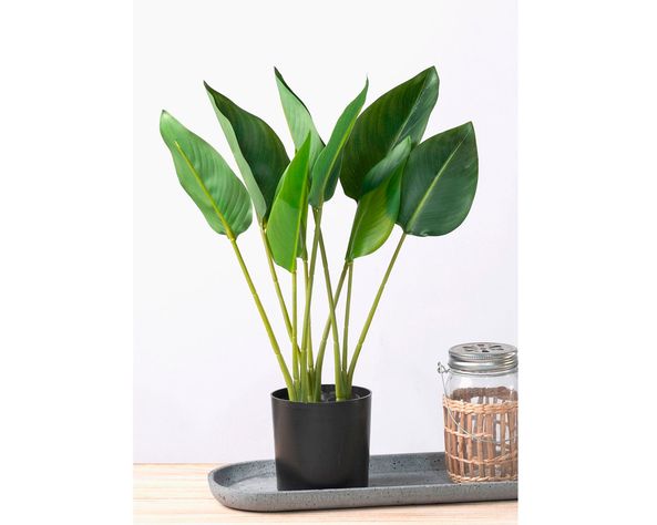 Planta artificial Strelitzia Outzen-4