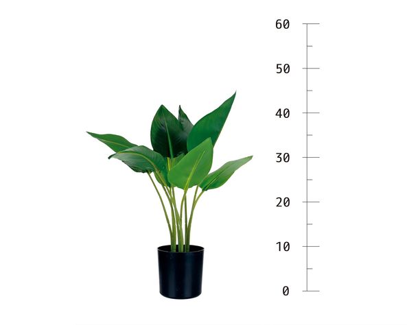Planta artificial Strelitzia Outzen-5