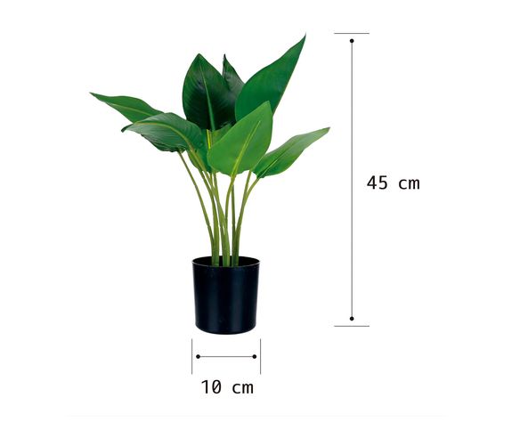 Planta artificial Strelitzia Outzen-6