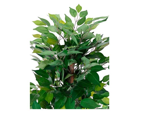 Planta artificial Ficus Outzen-2
