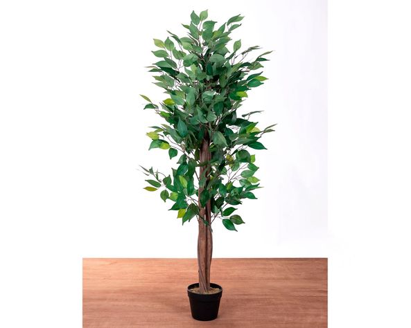 Planta artificial Ficus Outzen-3