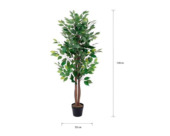 Planta artificial Ficus Outzen-6