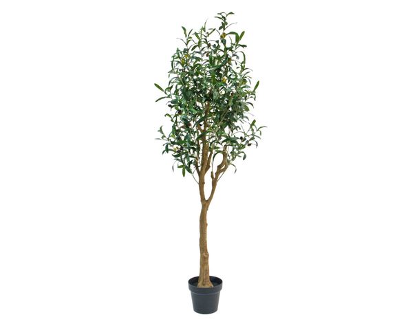 Planta artificial 145 cm Olivo Outzen.-0