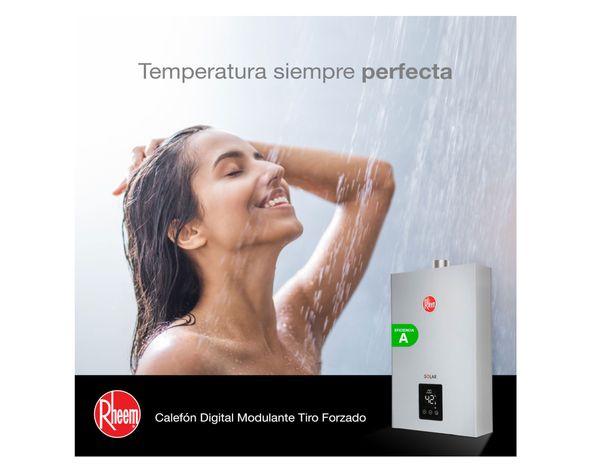 Calefont ionizado tiro forzado 12 litros gas licuado Modulante Rheem-3