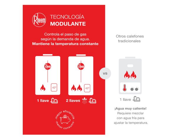 Calefont ionizado tiro forzado 12 litros gas licuado Modulante Rheem-4