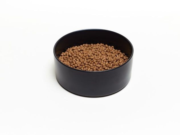 Plato Chaitén 0.8 lt-0