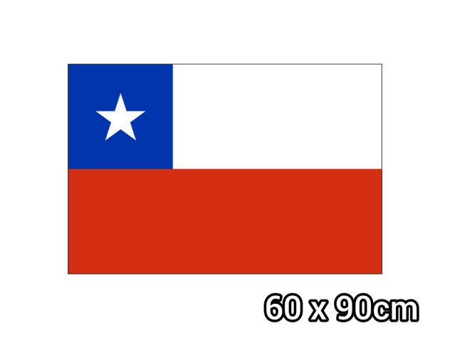 Bandera Chile Chilena Mediana Tela Plastica Delgada 60x90cm-0