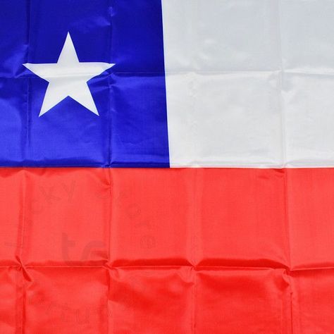 Bandera Chile Chilena Mediana Tela Plastica Delgada 60x90cm-1