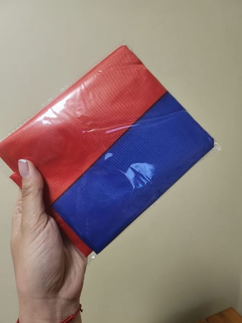 Bandera Chile Chilena Mediana Tela Plastica Delgada 60x90cm-2