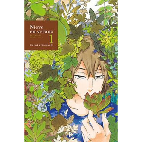 NIEVE EN VERANO-VOL.01 (TOMO DOMO)-1