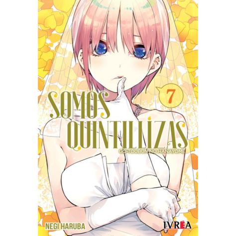 SOMOS QUINTILLIZAS VOL.07-1