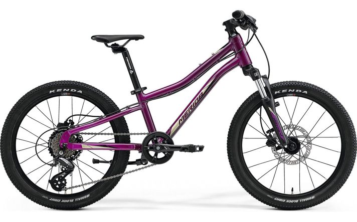 Bicicleta Merida Matts J20 Nina 2022 - Aro 20 Unica-1