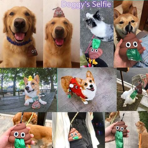Dispensador De Bolsas Para Mascotas + 2 Rollos Bol-3