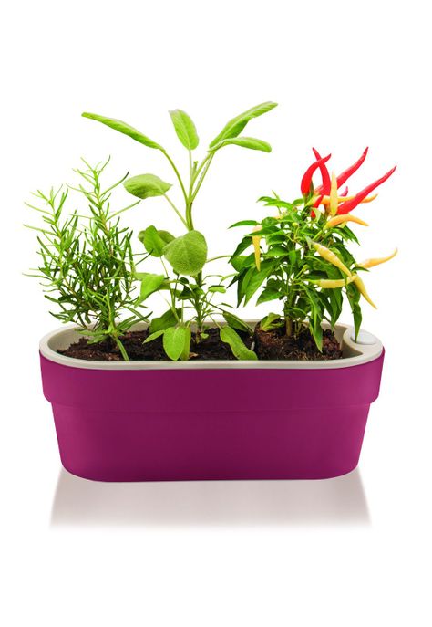 Macetero Huerta Auto Riego Guinda 1,75 Lt-3
