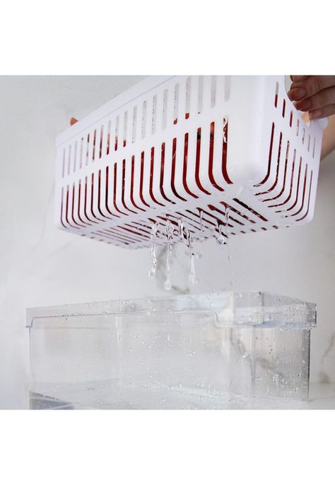 Organizador De Refrigerador Con Tapa Clear Fresh 30 x 15 x 13 Cm-2