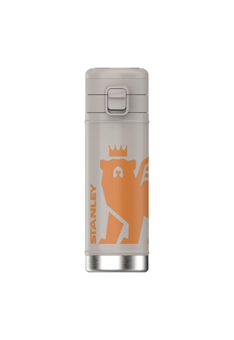 Botella FlowSteady Gris | 502 ml-0