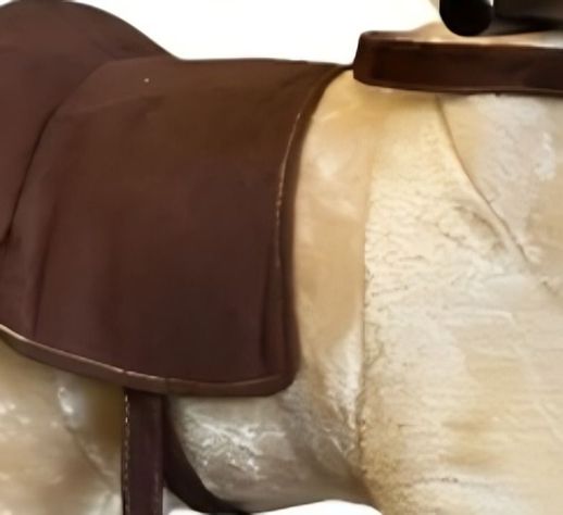 CABALLO BALANCIN MUSICAL-1