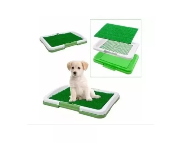 Baño Mascotas Puppy Potty Ecologico-0