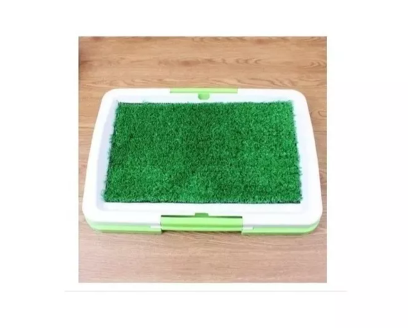 Baño Mascotas Puppy Potty Ecologico-2