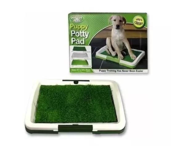 Baño Mascotas Puppy Potty Ecologico-3