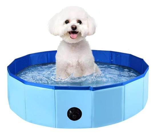 Piscina Pileta Plegable Para Mascotas Y Niños 80x20cm Jhn-0