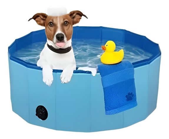 Piscina Pileta Plegable Para Mascotas Y Niños 80x20cm Jhn-1
