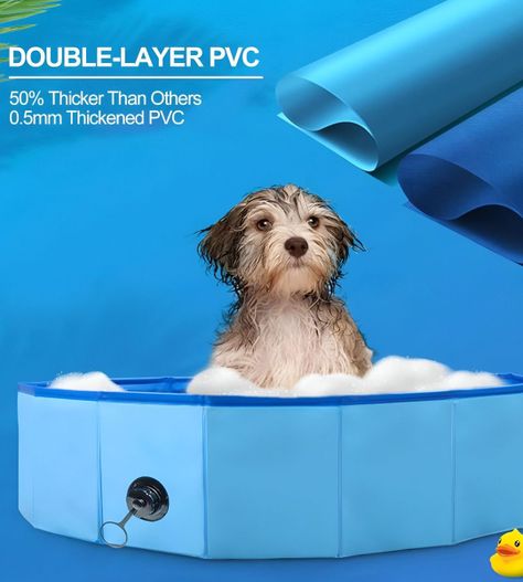 Piscina Pileta Plegable Para Mascotas Y Niños 80x20cm Jhn-9