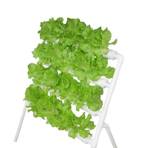 Cultivo Hidropónico Para 36 Plantas-0