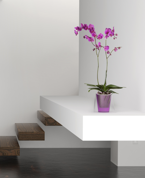 Macetero Lina Hobby Flower -1