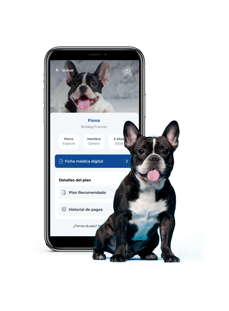 Plan Salud Digital Para Tu Perrito - Básico Anual-0