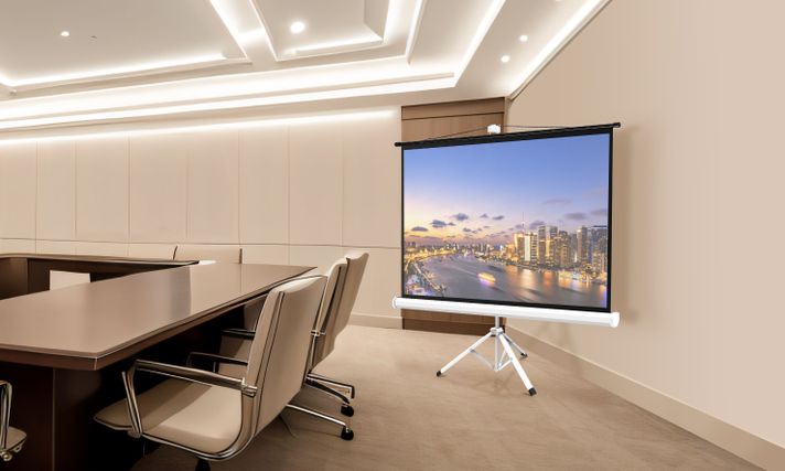 TELON DE PROYECTOR 112" - CINEMA - 2.44 x 1.83 MTS-6