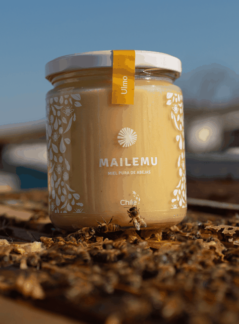 Miel Pura de Ulmo 550gr-1