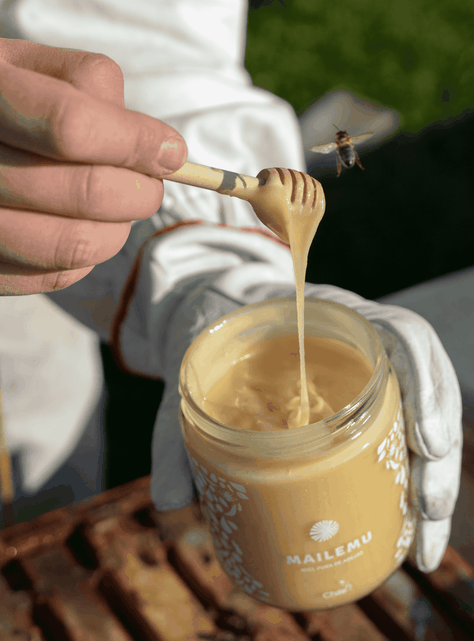 Miel Pura de Ulmo 550gr-2