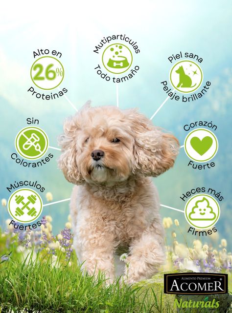Alimento Acomer naturals perro Adulto 22kg-1