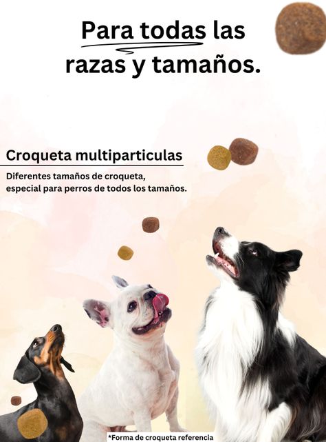 Alimento Acomer naturals perro Adulto 22kg-5