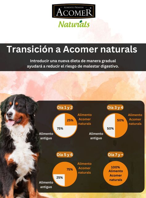 Alimento Acomer naturals perro Adulto 22kg-6