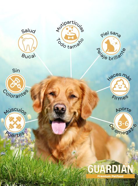 Alimento Guardián perro adulto 16Kg-1