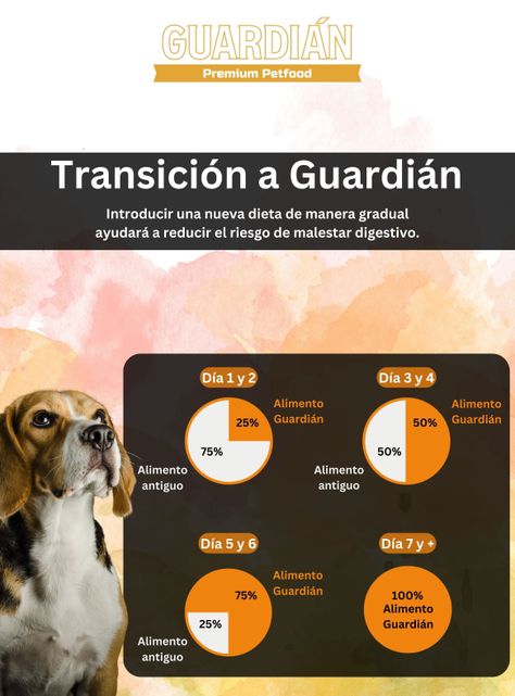 Alimento Guardián perro adulto 16Kg-5