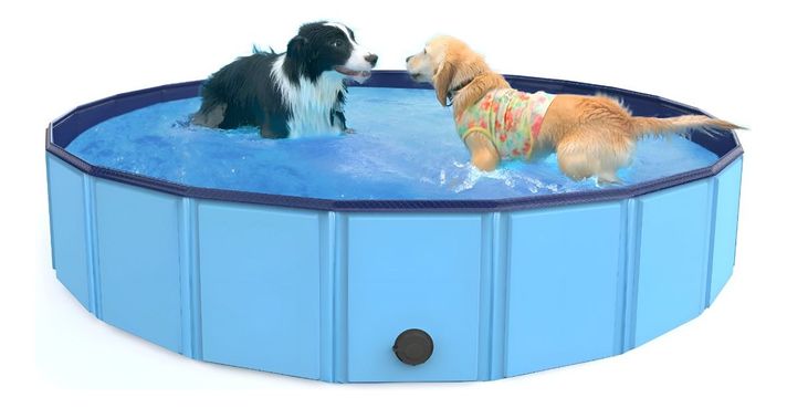 Piscina Pileta Plegable Para Mascotas Y Niños 160x30cm Jhn-0