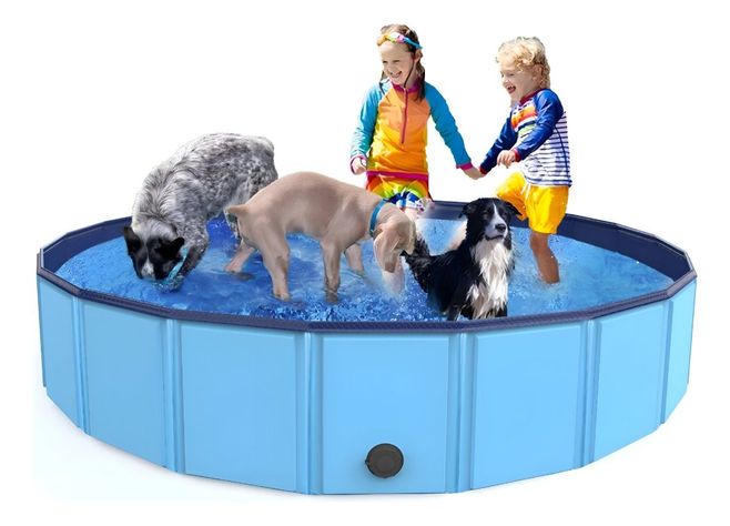 Piscina Pileta Plegable Para Mascotas Y Niños 160x30cm Jhn-1