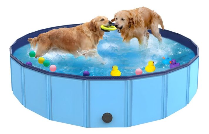 Piscina Pileta Plegable Para Mascotas Y Niños 160x30cm Jhn-2
