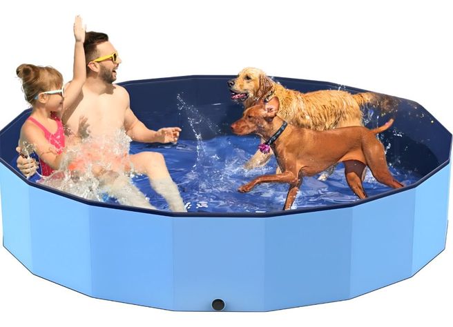 Piscina Pileta Plegable Para Mascotas Y Niños 160x30cm Jhn-3